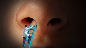 Почему опасно ковыряться в носу? What to know about Nose picking? | ENG SUB