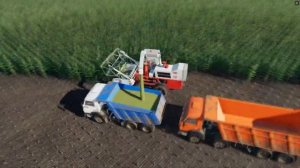 FS19 |Карта Кошмак| Уборка кукурузы на силос легендарным комбайном КСК-100, МП с подписчиками