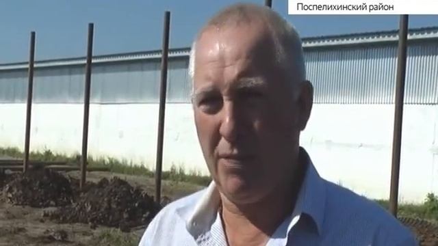 Наращивание урожайности, расширение хозяйства: в Поспелихиском районе строят грандиозные планы смотреть онлайн