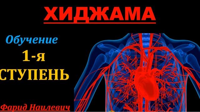Курсы хиджамы 1 я ступень  Обучение хиджаме alhajam.ru