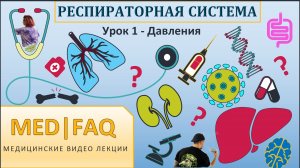 Респираторная система. УРОК 1 - ДАВЛЕНИЯ
