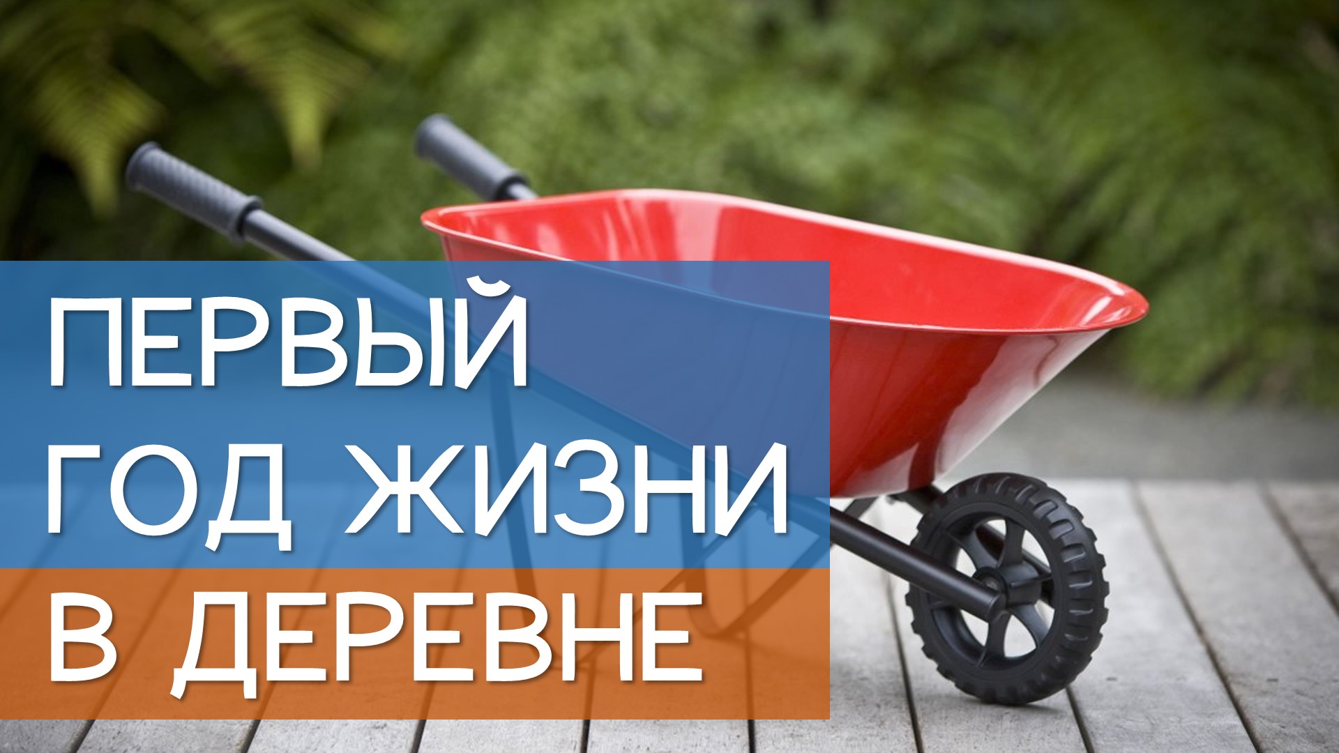 О первом годе жизни в деревне