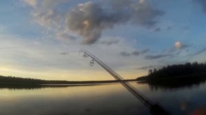 Карелия.  Топозеро.  Август 2016.