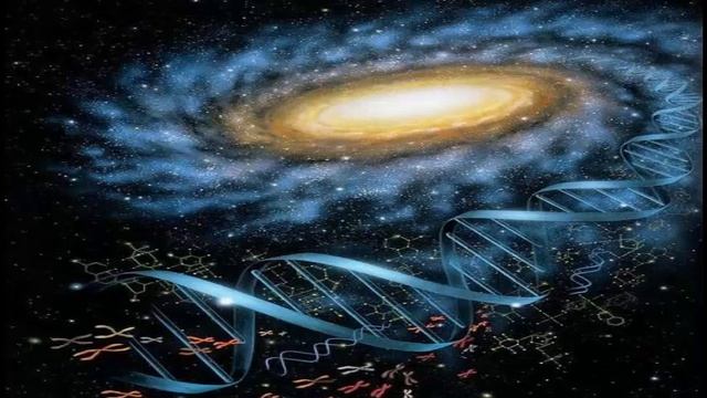 Учение Аркадия Петрова Древо Жизни Что такое бессознательное