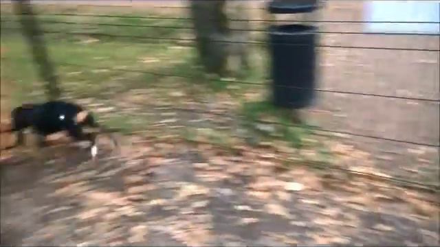 Шайна и Шанди, 5 месяцев смотреть онлайн