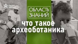 О чём можно узнать по останкам растений? Лекция археоботаника Алексея Сергеева