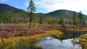 СТРАНА ЧЕРСКОГО 2012 Часть 2. К началу пешей части похода.