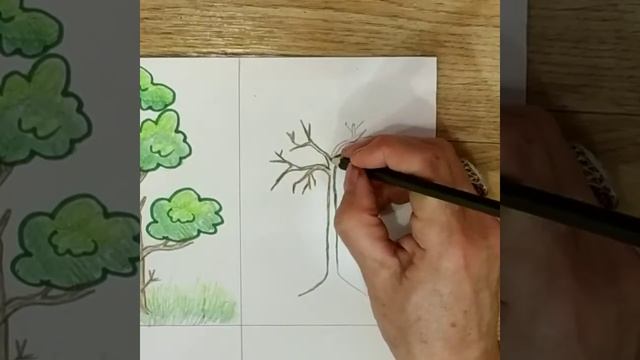 Как нарисовать дерево карандашами /10 вариантов/How to draw a tree