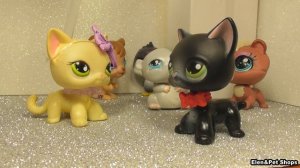 LPS: ОСОБЕННЫЙ РЕБЕНОК 26 серия