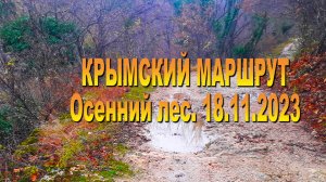 18.11.2023. Крымский маршрут. Осенний лес