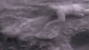 МАРИЯ ПАНЮКОВА - БАЛЛАДА О МАТЕРИ