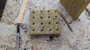 Кубики из АГРО минеральной ваты для гидропоники, где взять?