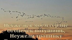 « Расцвела под окошком белоснежная вишня »  Надежда Бабкина и ансамбль "Русская песня"