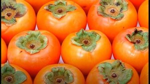 Осторожно Хурма Польза и вред Хурмы