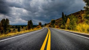 Lights & Motion. Fireflies