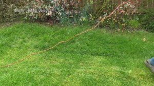 One Man Went To Mow......With A Bosch Rotak 34 Ergoflex Lawn Mower