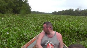 В дельте реки Ориноко. ф.1