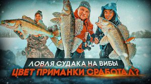 СУДАК НА ВИБЫ! Цвет сработал, ПОЙМАЛИ БОЛЬШЕ ВСЕХ! Сергей Беляев, зимняя рыбалка