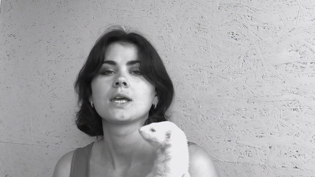 АНОНС День хорька 2019 /ПРИГЛАШАЕМ НА ПРАЗДНИК / Furittus смотреть онлайн