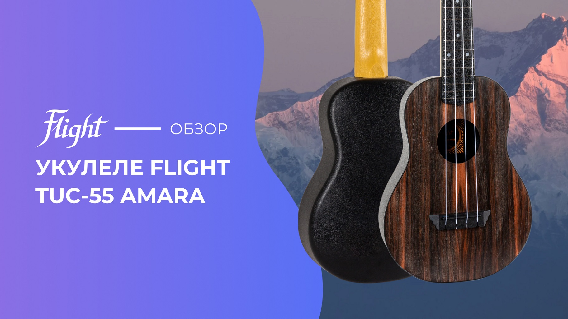 Укулеле группа. Flight tuc-55 Amara. Укулеле концерт Flight. Укулеле Флайт tuc 40 GD. Обзор укулеле концерт.