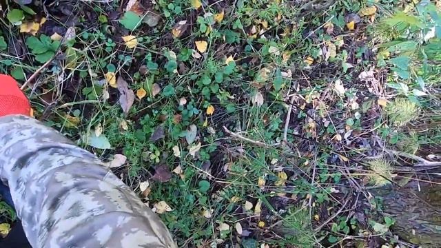 ФАРТОВЫЙ КОП!!! — ЧТО УДАЛОСЬ НАМ ТАМ ОБНАРУЖИТЬ? ВЫБИТЫЕ МЕСТА КОНКУРЕНТОВ