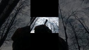 Ваба на волка - Wolf Howler E.L.K., inc.