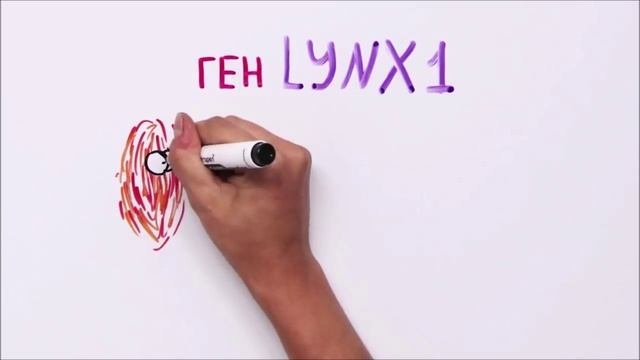 Как избежать болезни альцгеймера?