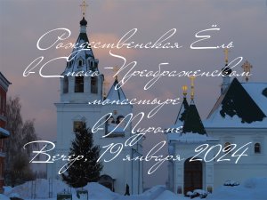 Рождественская Eль в Спасо-Преображенском монастыре в Муроме, Вечер, 19 января 2024, Christmas tree