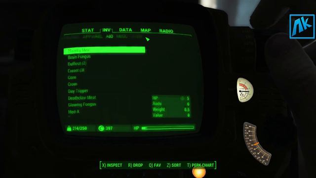 FALLOUT 4 - Live Stream #2 "India Gaming" Akan22