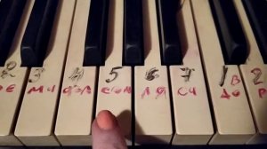 Как играть Гимн России  сразу 2мя руками По цифрам  Научу ВСЕХ  за 5 мин Гимн СССР  Союз нерушимый