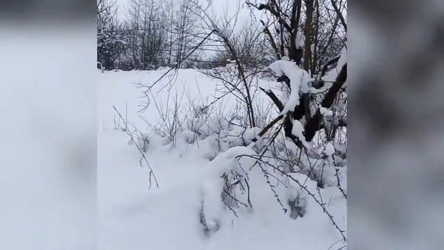 Зима 2021 Нальчик. смотреть онлайн