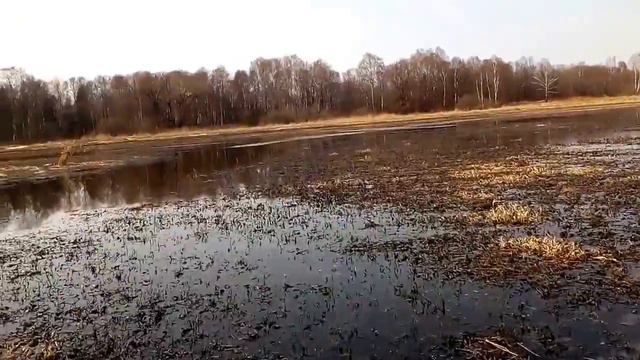Исток Истринского водохранилища р.Чернушка...