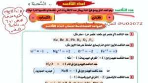 الفصل الرابع - المحاضرة 2