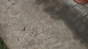 УКРАШЕНИЯ для САДА из ЦЕМЕНТА. #DIY_CEMENT
