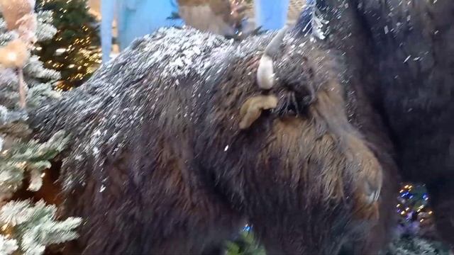 Чароунае Паазер'е в Dana Mall в Минске. смотреть онлайн