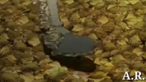 Клип день ночь руки прочь я лишь хочу тебе помочь