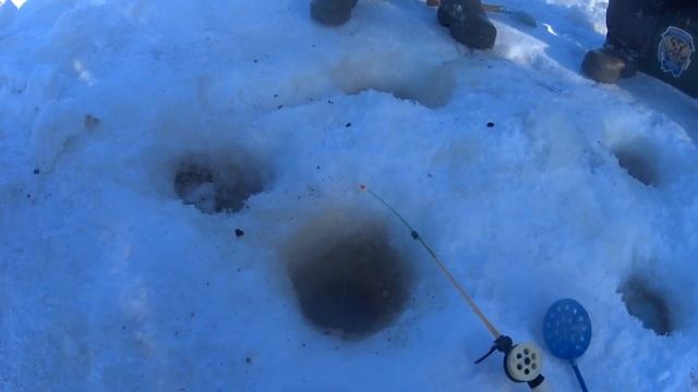 Соревнования по рыбной ловле 2022 смотреть онлайн