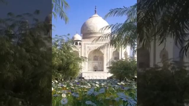 The Taj Mahal is the most famous building in India.  Тадж-Махал - самое знаменитое здание в Индии.