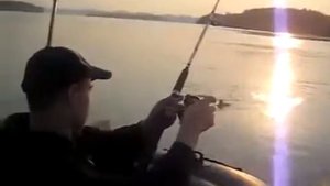 Ловля язя в проводку