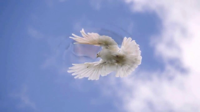 Я У ЛЮБВИ ВО ВЛАСТИ смотреть онлайн