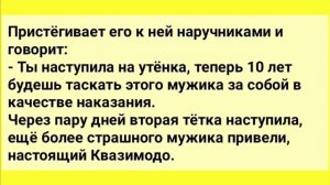 Анекдоты дня