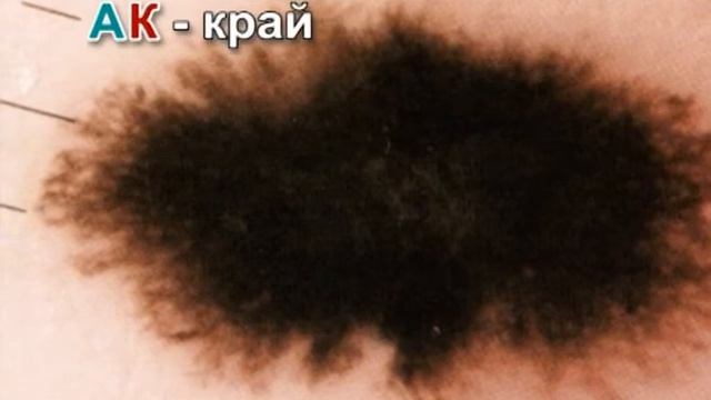 rodinki смотреть онлайн