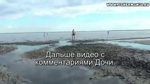 Лечебное озеро малое Яровое Алтайский край.