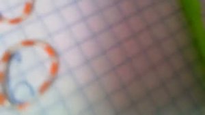 Как сплести из резинок фигурки бобов бин бузелд без стонка на рагатке