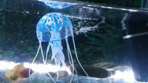 Медуза и кусты для аквариума с Aliexpress.