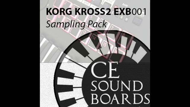 (CE)EXB001-KORG Kross2 Turkish Sampling Pack смотреть онлайн