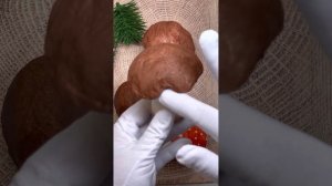 Ватная игрушка Грибы