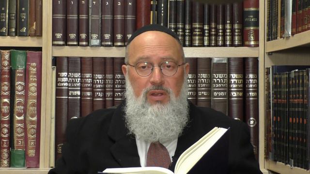 The Profundity of Hebrew: When Knowing is Not Knowing смотреть онлайн