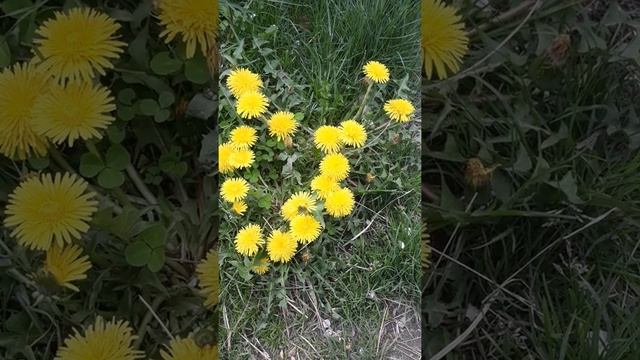 Молитва от боли в животике младенца смотреть онлайн