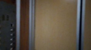 Электрические лифты (КМЗ-1994) г. Москва, Луговой проезд, 12к2, под-1 (08.02.2021)